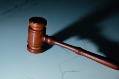 FAS-Professional-Builds