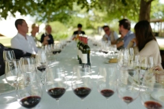 FAS-Wineries-Problems